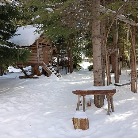 "Моето Любимо Място", Смолянски Езера - "My Favorite Place", Smolyan Lakes Zewnętrze zdjęcie