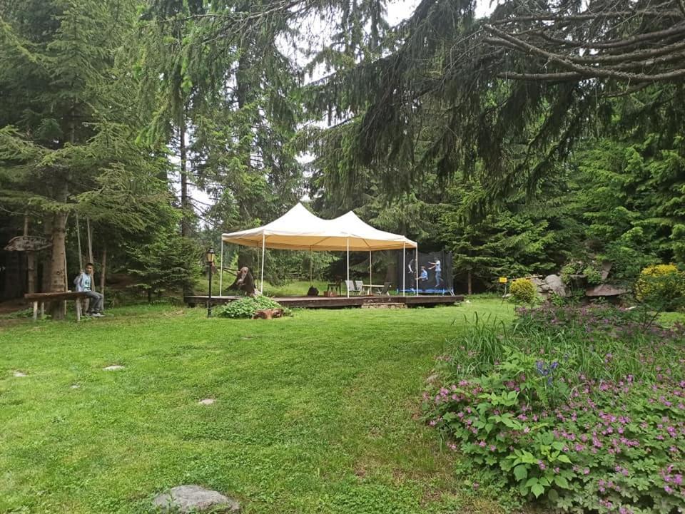 "Моето Любимо Място", Смолянски Езера - "My Favorite Place", Smolyan Lakes Zewnętrze zdjęcie