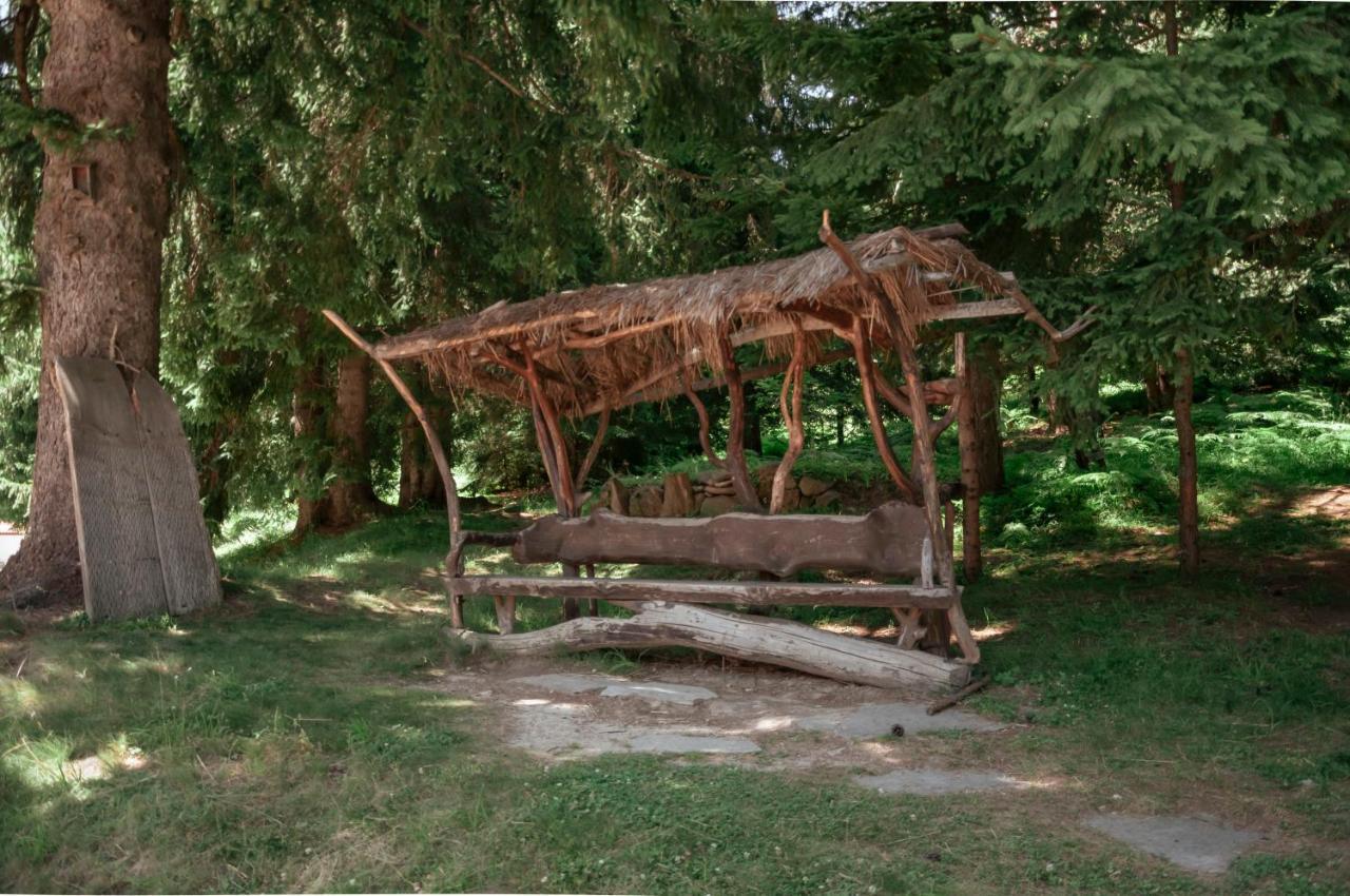 "Моето Любимо Място", Смолянски Езера - "My Favorite Place", Smolyan Lakes Zewnętrze zdjęcie